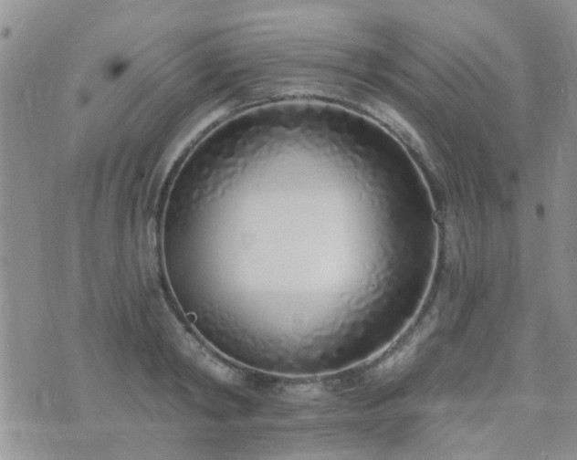 X0000073710798200608031238