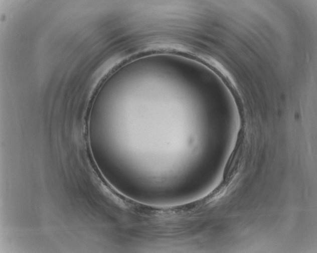 X0000073710799200608031238