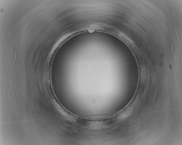 X0000073710800200608031238