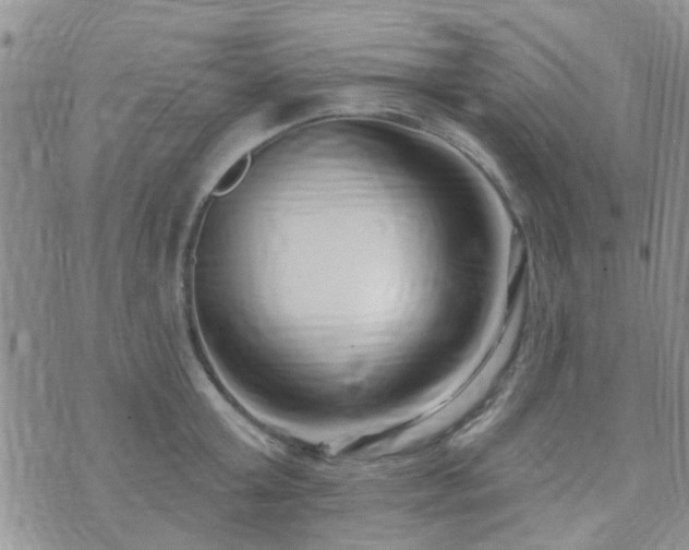 X0000073710803200608031238