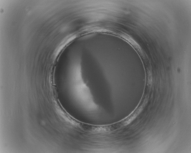 X0000073710806200608031238