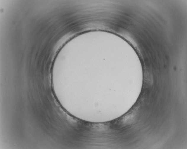 X0000073710807200608031238