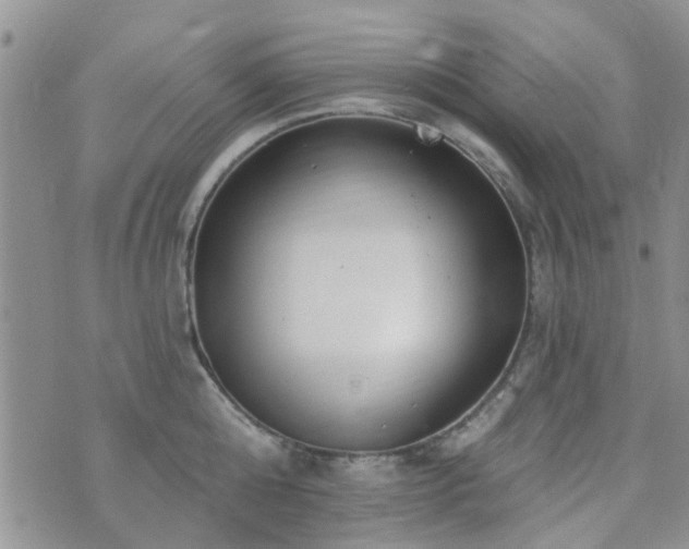 X0000073710808200608031238