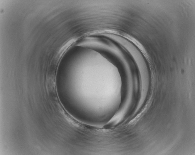 X0000073710809200608031238