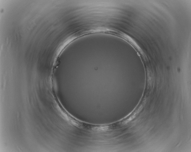 X0000073710810200608031238