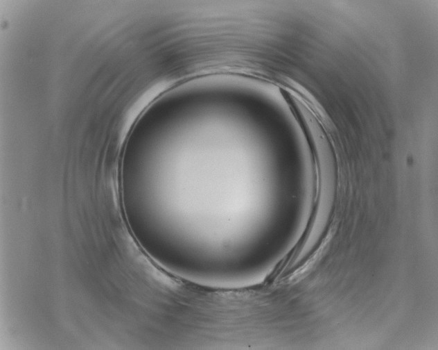 X0000073710812200608031238