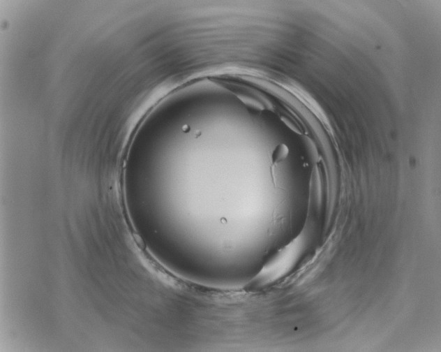 X0000073710813200608031238