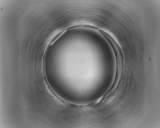 X0000073710815200608031238