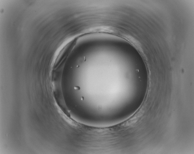 X0000073710816200608031238