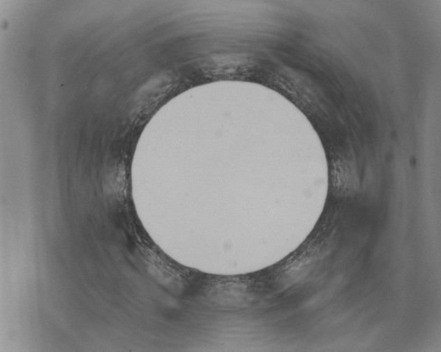 X0000073710820200608031237