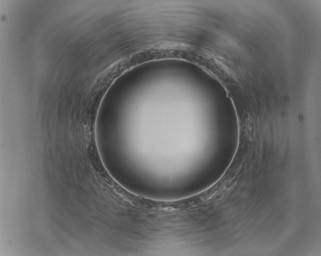 X0000073710821200608031237