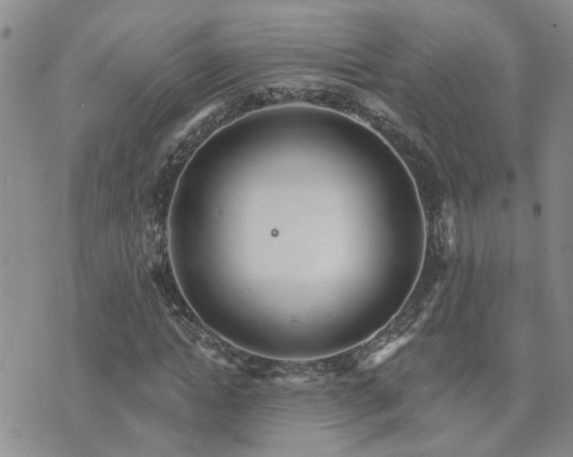 X0000073710822200608031237