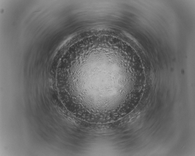 X0000073710823200608031237