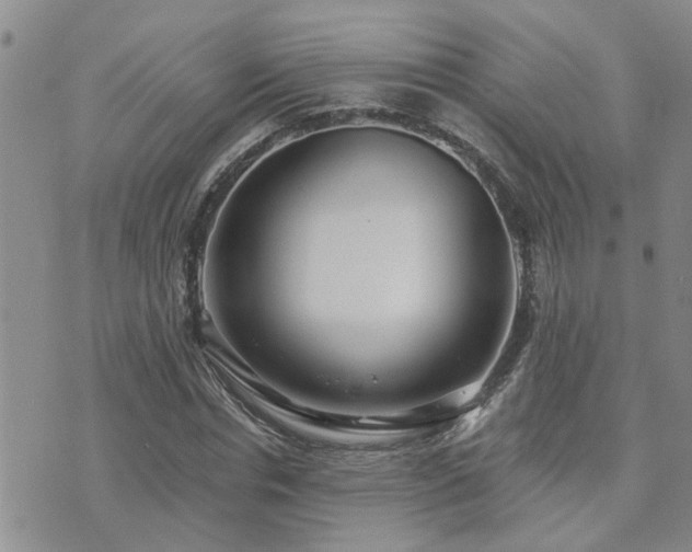 X0000073710826200608031237