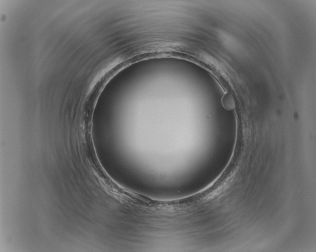 X0000073710827200608031237