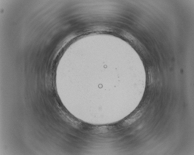 X0000073710828200608031237