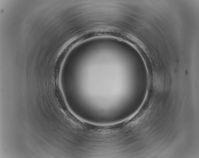 X0000073710829200608031237