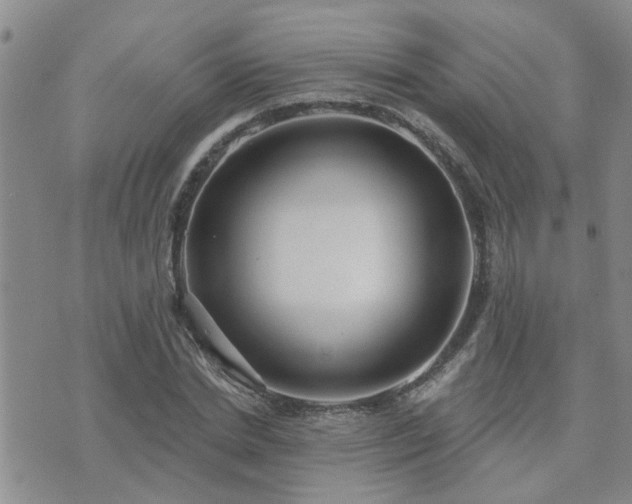 X0000073710830200608031237