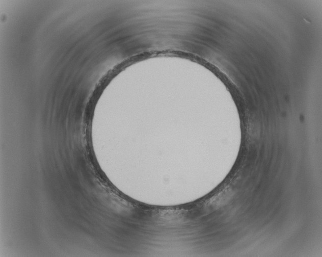 X0000073710832200608031237