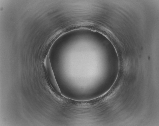 X0000073710833200608031237