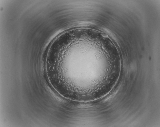 X0000073710835200608031237