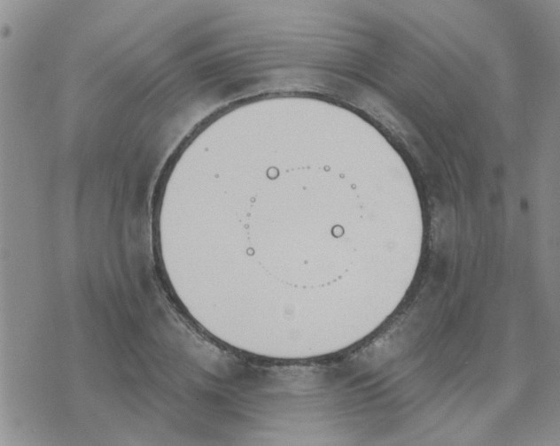 X0000073710836200608031237