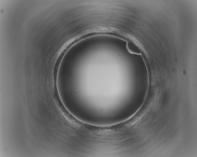 X0000073710837200608031237