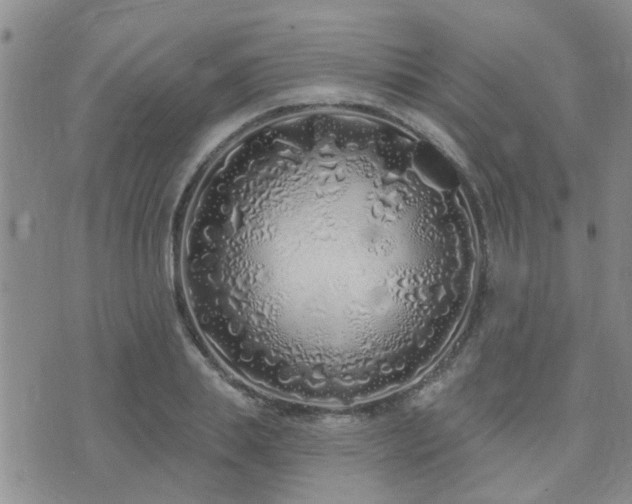 X0000073710839200608031237