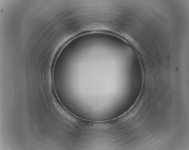 X0000073710840200608031237