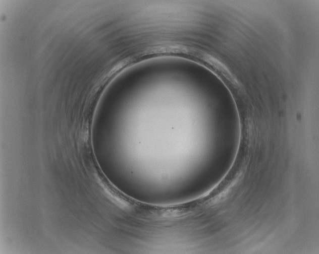 X0000073710841200608031237