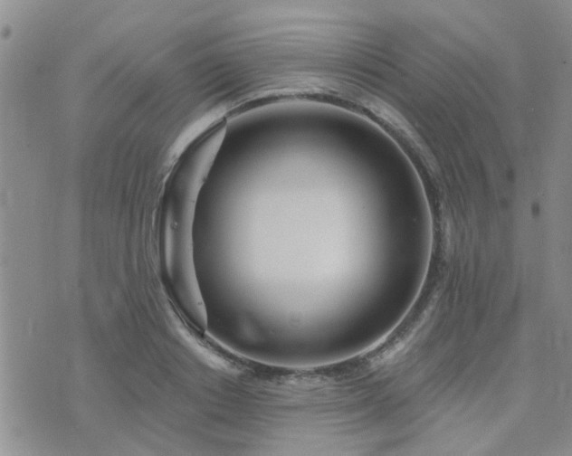 X0000073710842200608031237