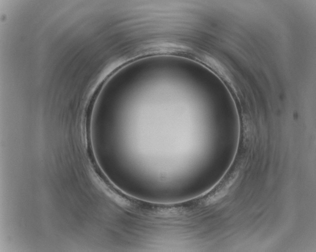 X0000073710843200608031237