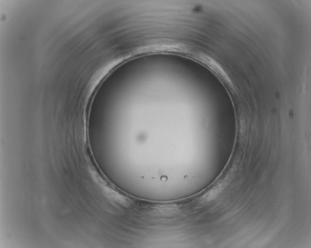 X0000073710844200608031237