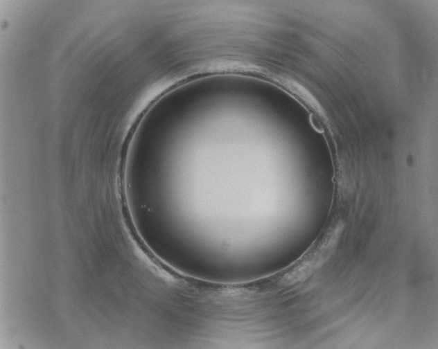 X0000073710847200608031237