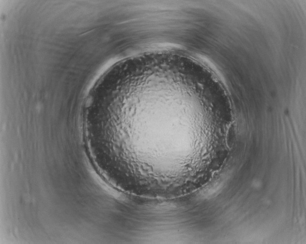 X0000073710851200608031238