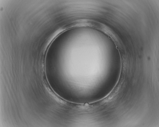 X0000073710852200608031238