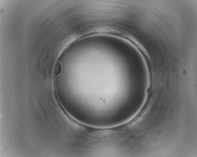 X0000073710853200608031238