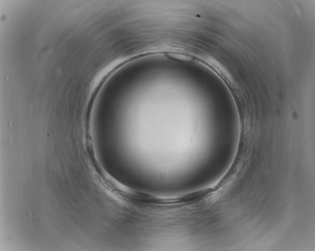 X0000073710854200608031238