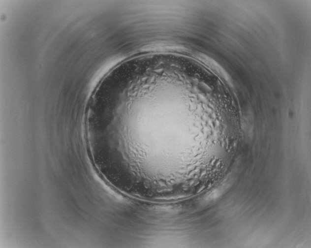 X0000073710855200608031238