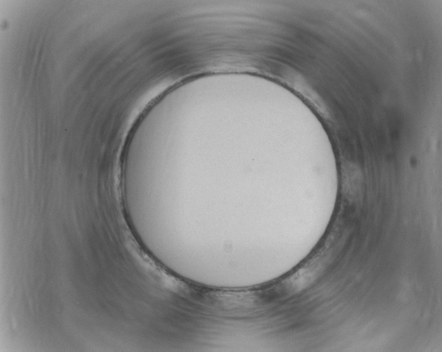 X0000073710856200608031238