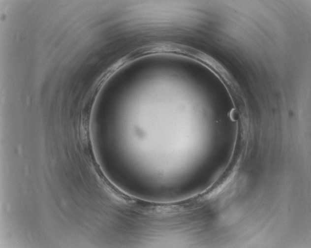 X0000073710857200608031238