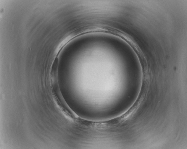 X0000073710858200608031238