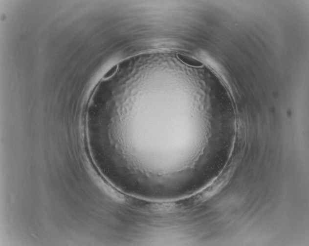 X0000073710859200608031238