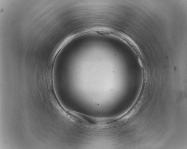 X0000073710860200608031238