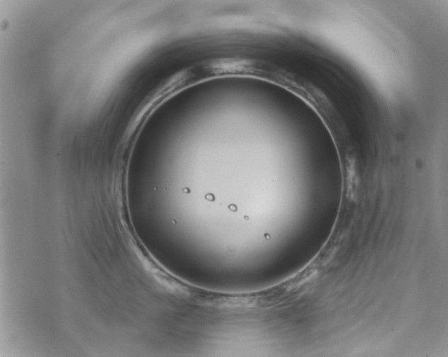 X0000073710861200608031238