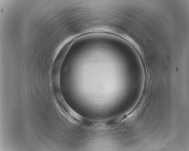 X0000073710862200608031238