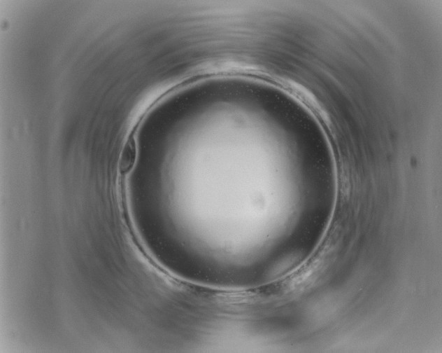 X0000073710863200608031238