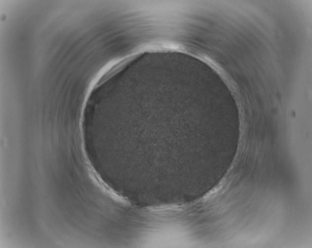 X0000073710864200608031238