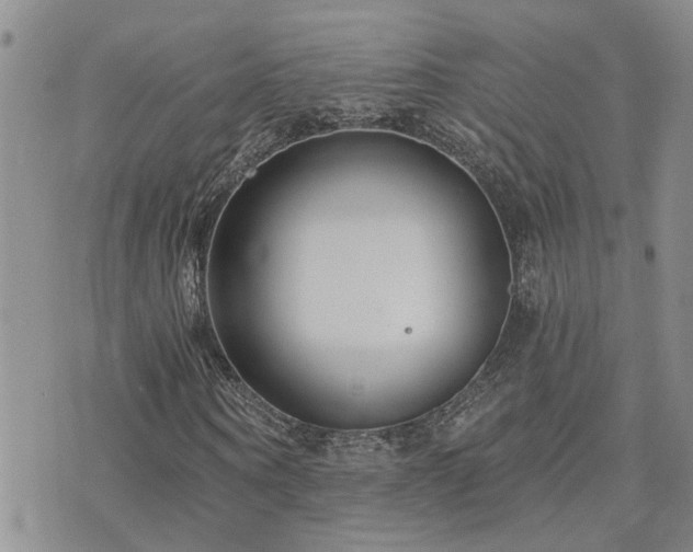 X0000073710866200608031237