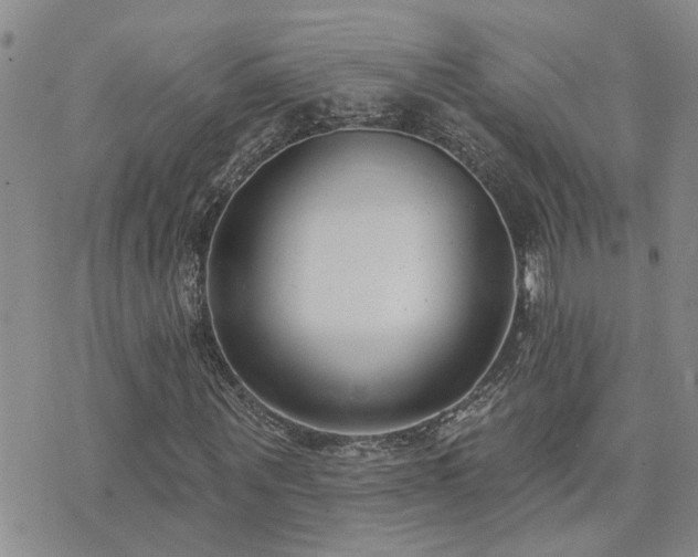 X0000073710867200608031237